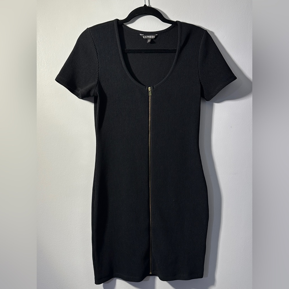 Express size 8 zipper dress.